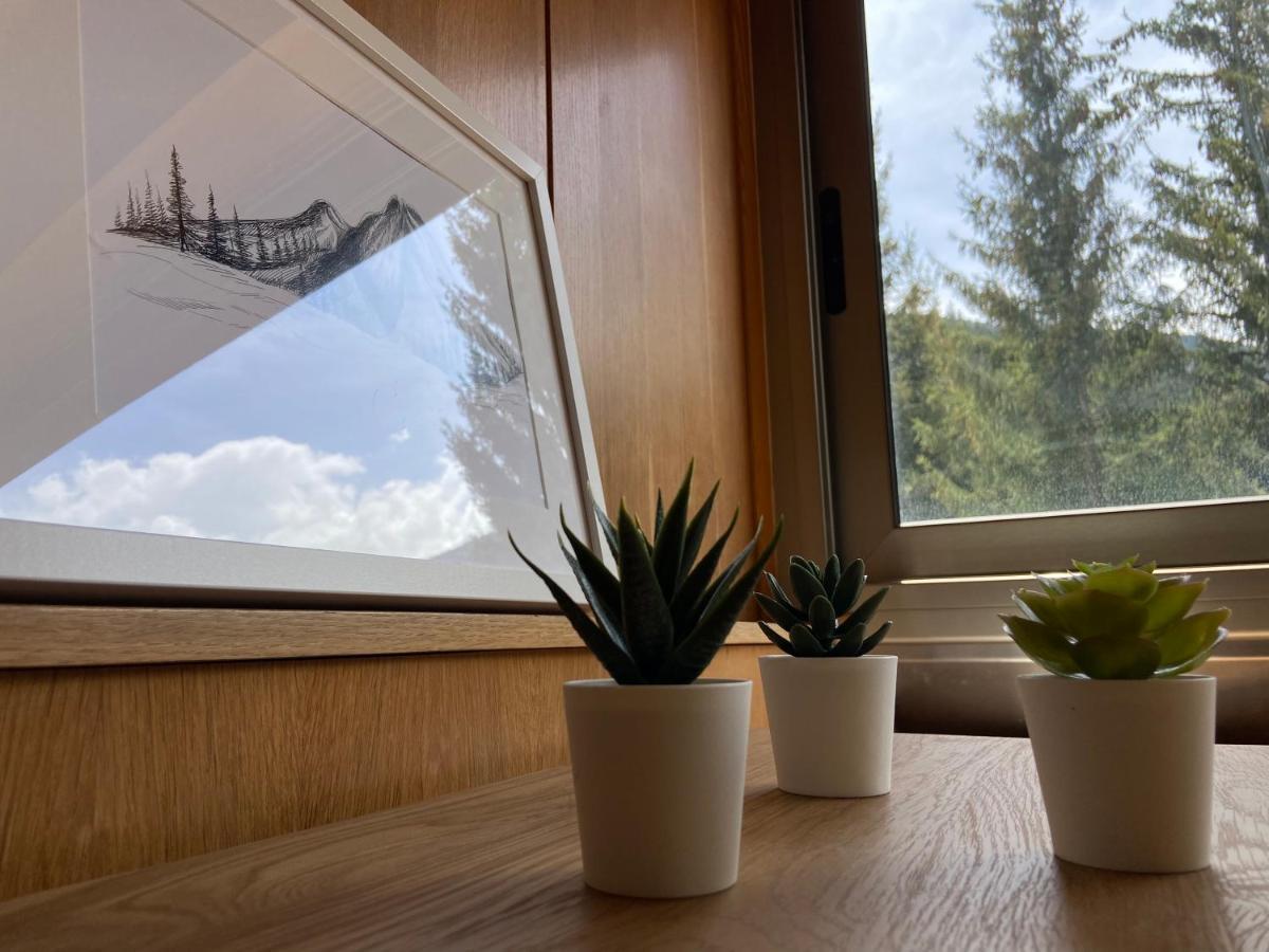 Apartamento Duplex En La Molina アルプ エクステリア 写真